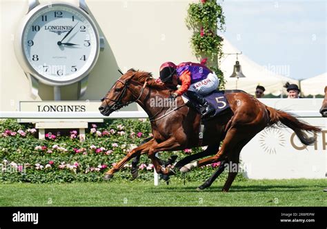 king george v stakes trends|King George V Stakes: Desert Hero gives The King and The .